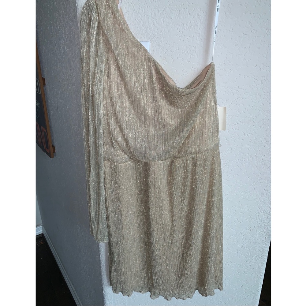 Bisou Bisou Gold Dress